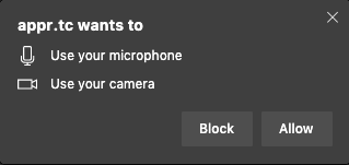 In Chromium, permissions for both microphone & camera access can be requested at once.