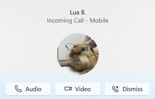 Incoming call notification with action buttons from non-installed domain